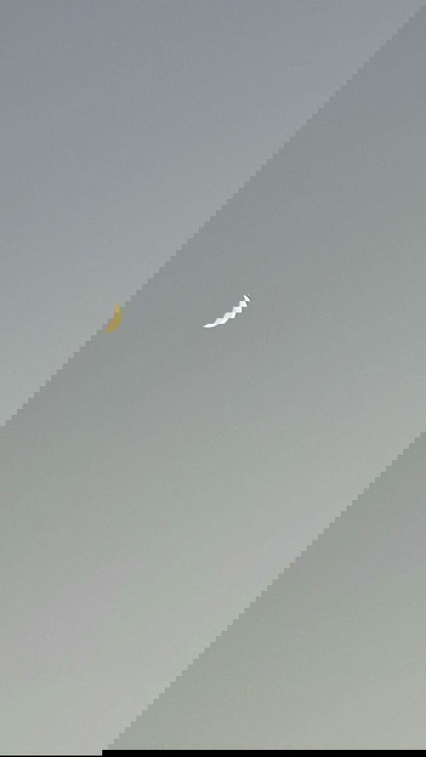 liashaked liashaked archive image