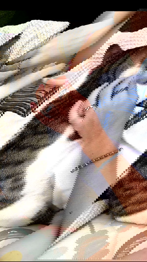 liashaked liashaked archive image