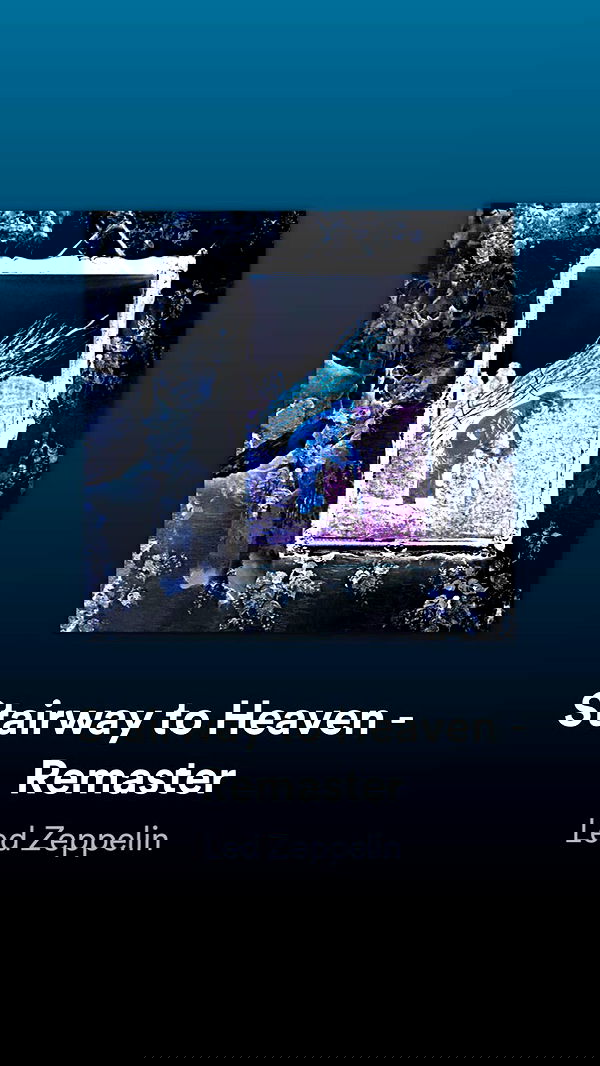 liashaked liashaked archive image