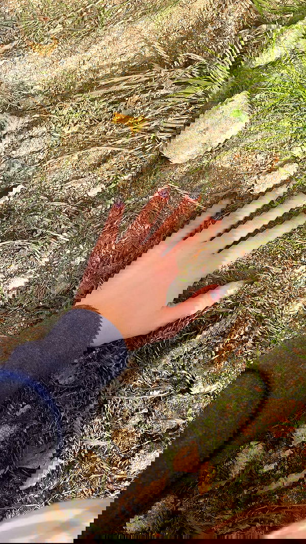 liashaked liashaked archive image