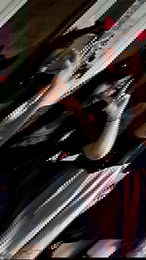 liashaked liashaked archive image