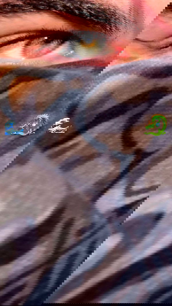 liashaked liashaked archive image