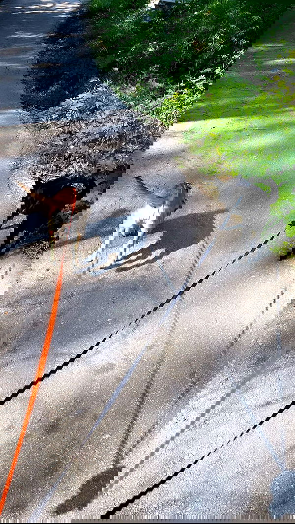 liashaked liashaked archive image