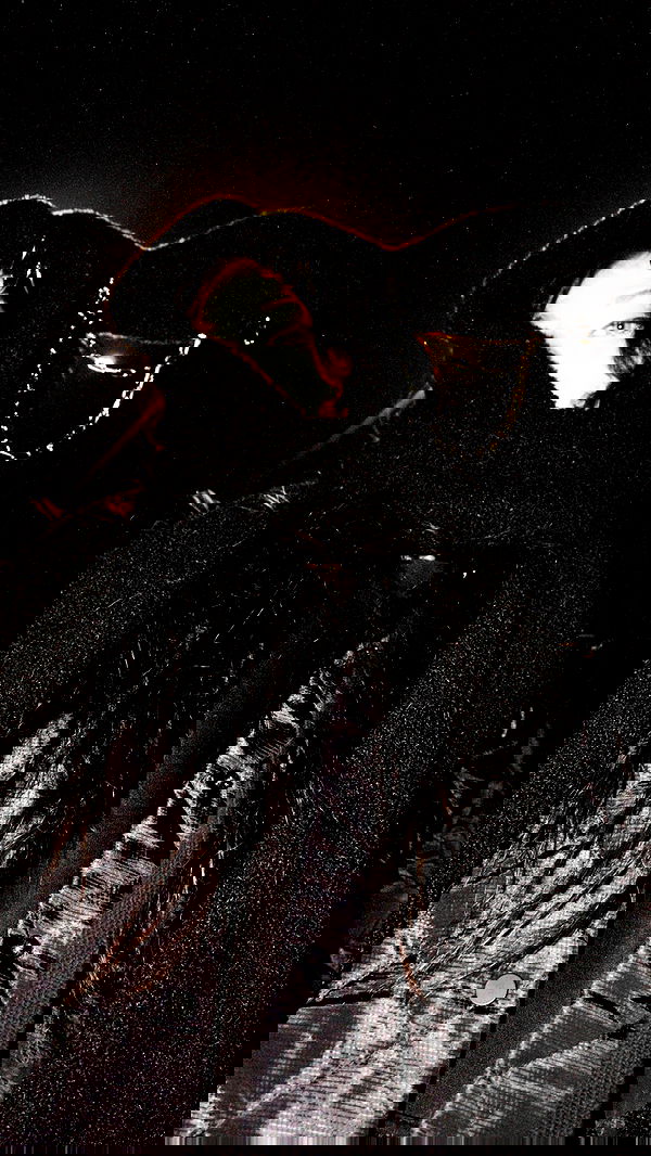 liashaked liashaked archive image