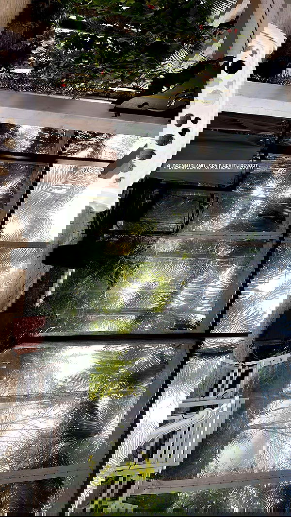 liashaked liashaked archive image