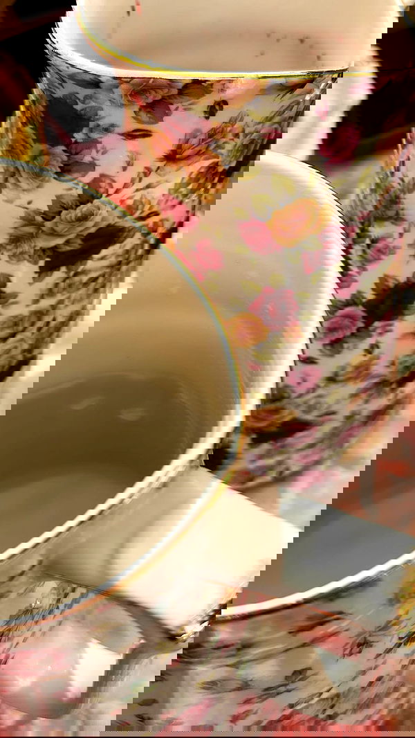 liashaked liashaked archive image