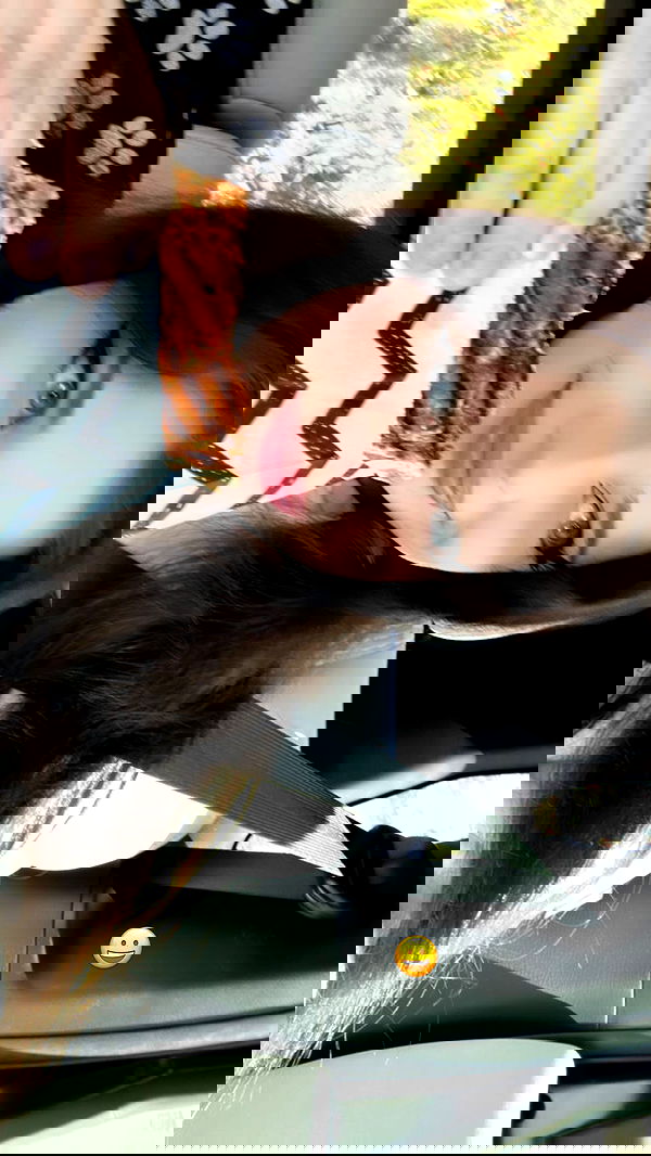 liashaked liashaked archive image