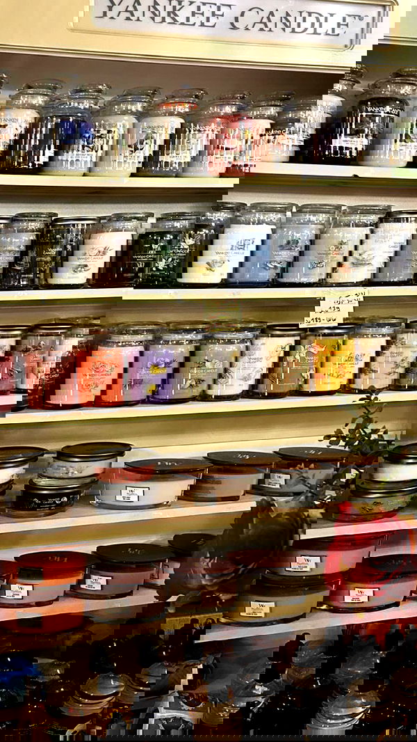 liashaked liashaked archive image