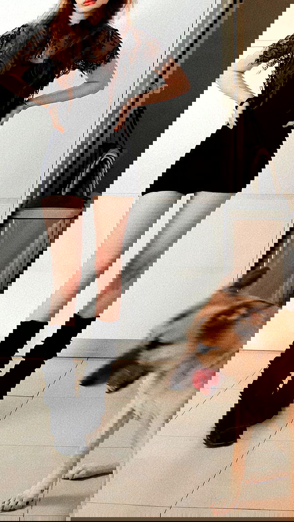 liashaked liashaked archive image