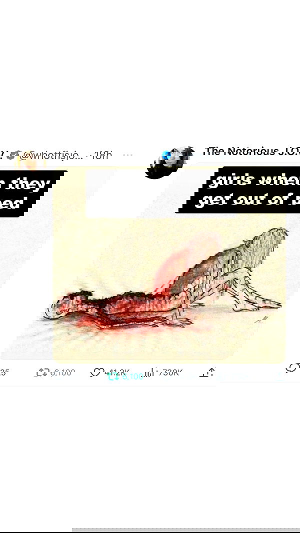 liashaked liashaked archive image