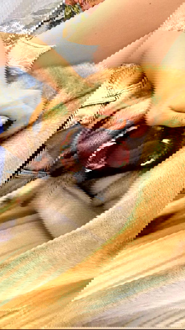 liashaked liashaked archive image