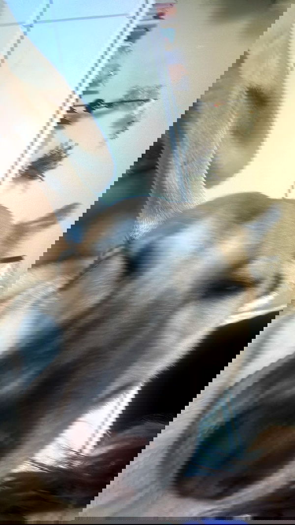 liashaked liashaked archive image