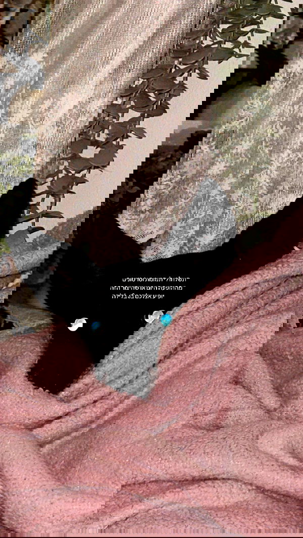 liashaked liashaked archive image