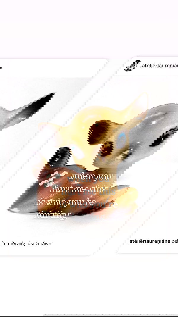 liashaked liashaked archive image