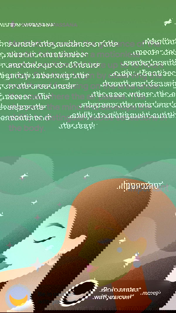 liashaked liashaked archive image