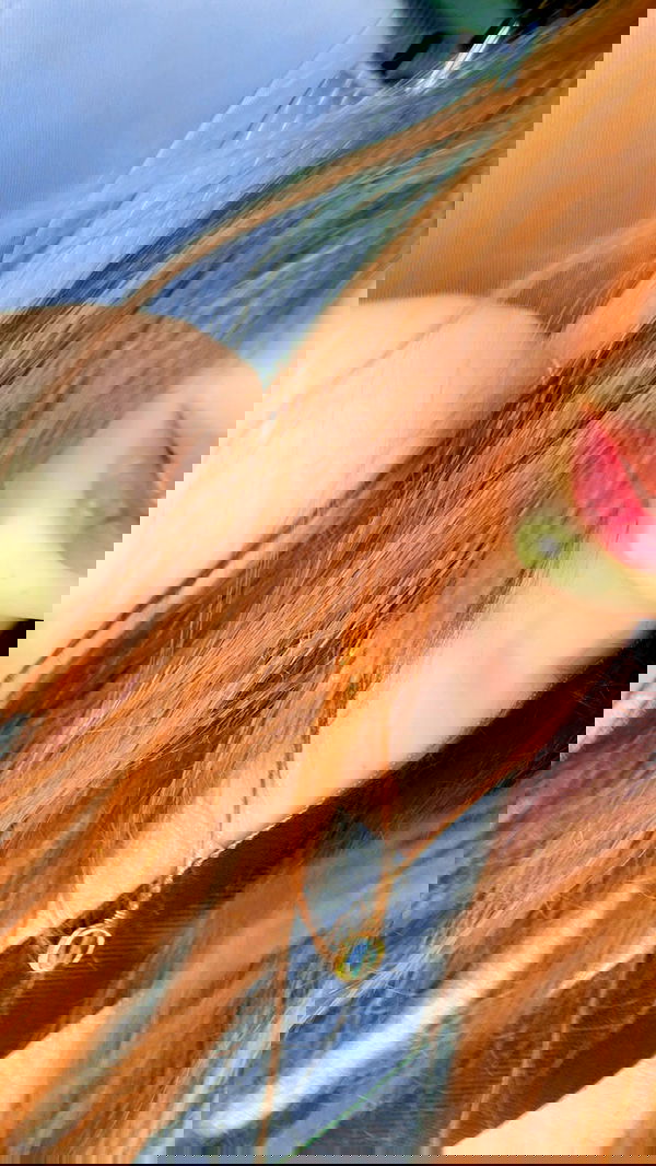 liashaked liashaked archive image