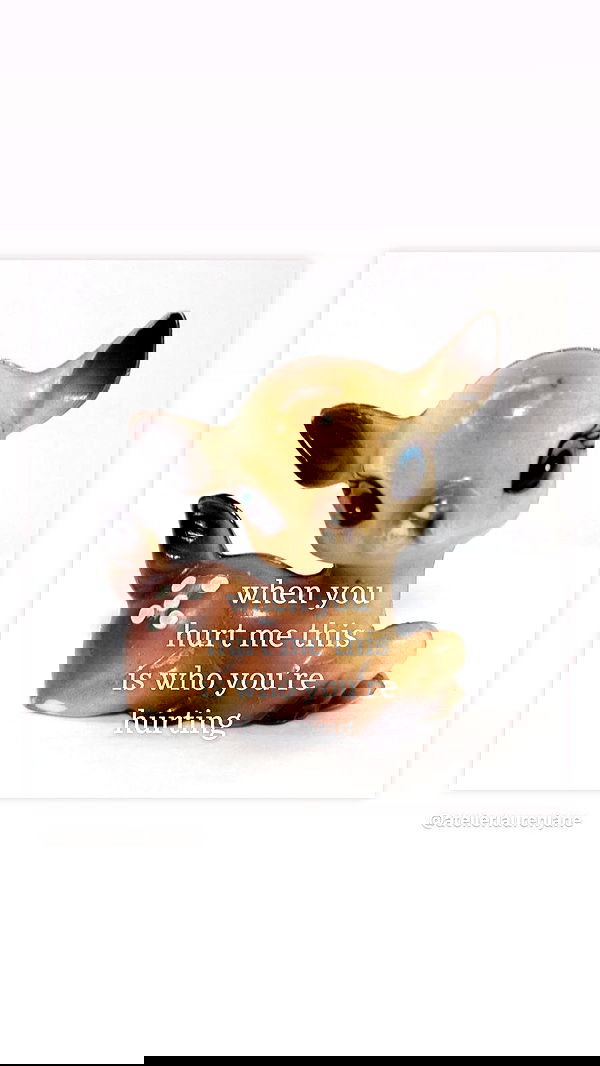 liashaked liashaked archive image