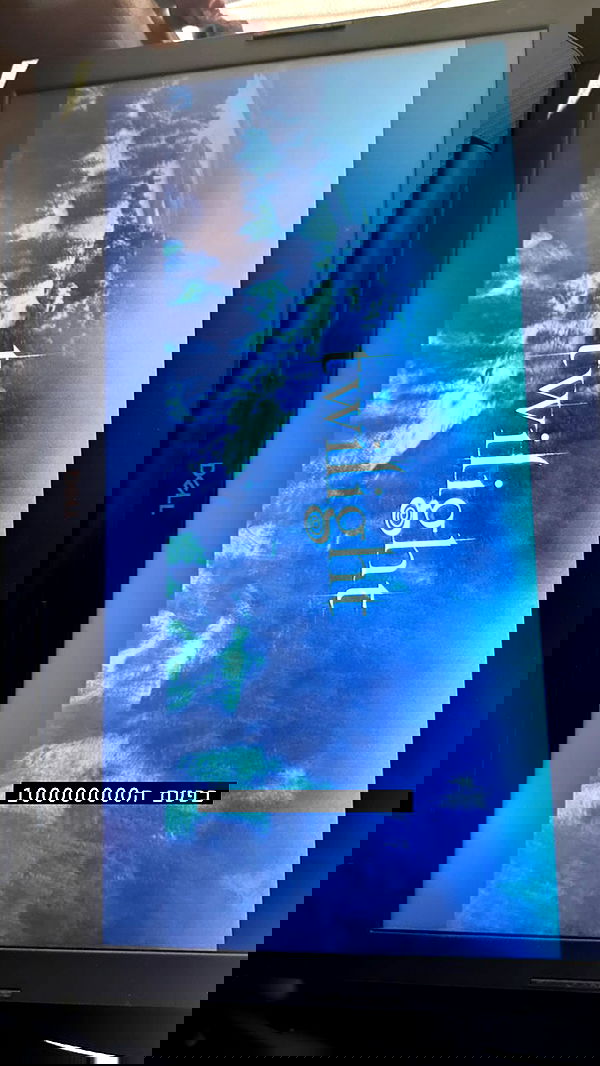 liashaked liashaked archive image