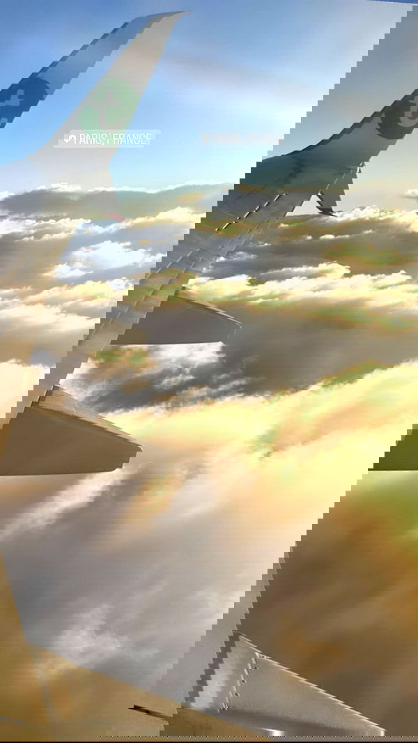 liashaked liashaked archive image