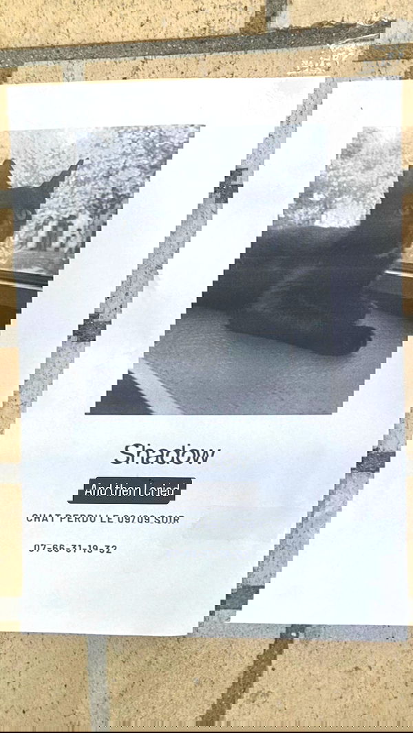 liashaked liashaked archive image