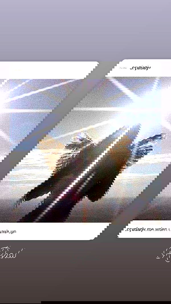 liashaked liashaked archive image