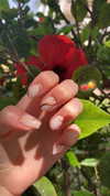 lisush_9 Altpins Profile Picture