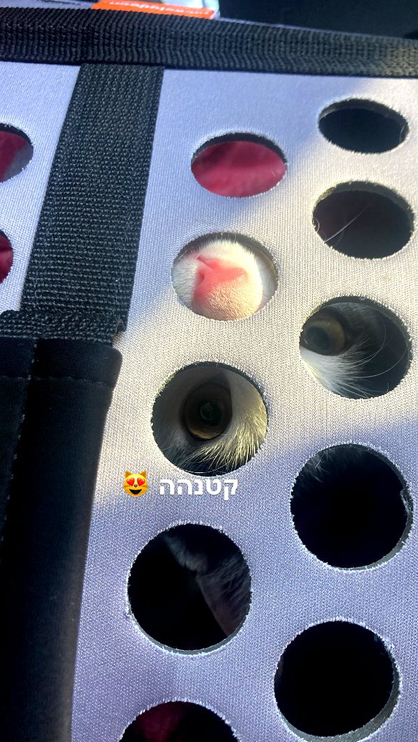 lisush_9 instagram image archive image