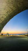 lisush_9 Altpins Profile Picture