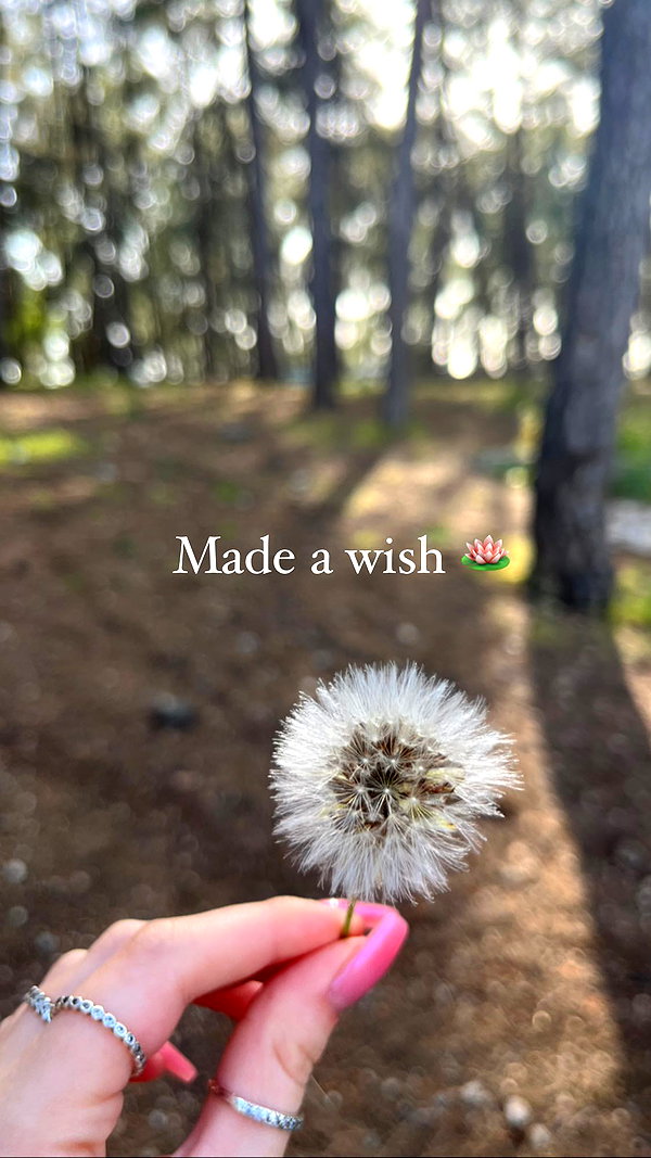 lisush_9 instagram image archive image