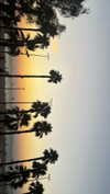 lisush_9 Altpins Profile Picture