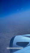 lisush_9 Altpins Profile Picture