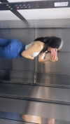 m1chal_c0hen_ Altpins Profile Picture