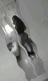 may__cohen__ Altpins Profile Picture