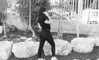 may__cohen__ Altpins Profile Picture
