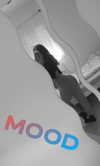 may__cohen__ Altpins Profile Picture