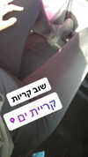 may__cohen__ Altpins Profile Picture