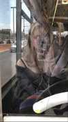 mikabenamar Altpins Profile Picture