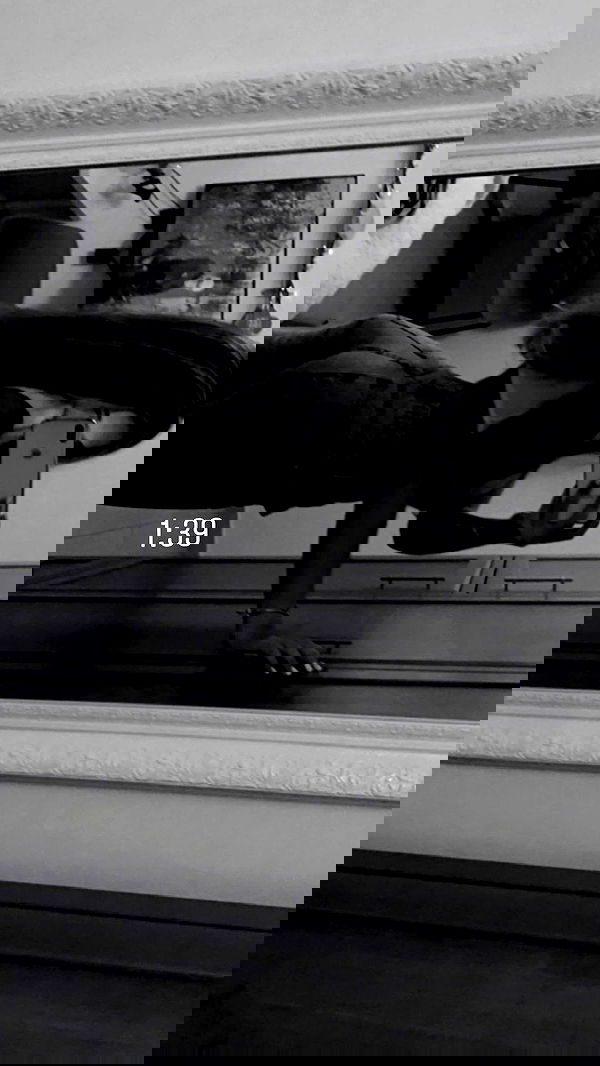 mishel_llll mishel_llll archive image