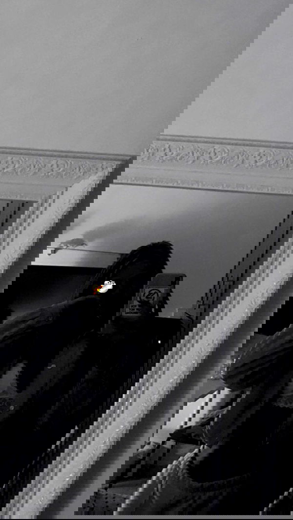 mishel_llll mishel_llll archive image