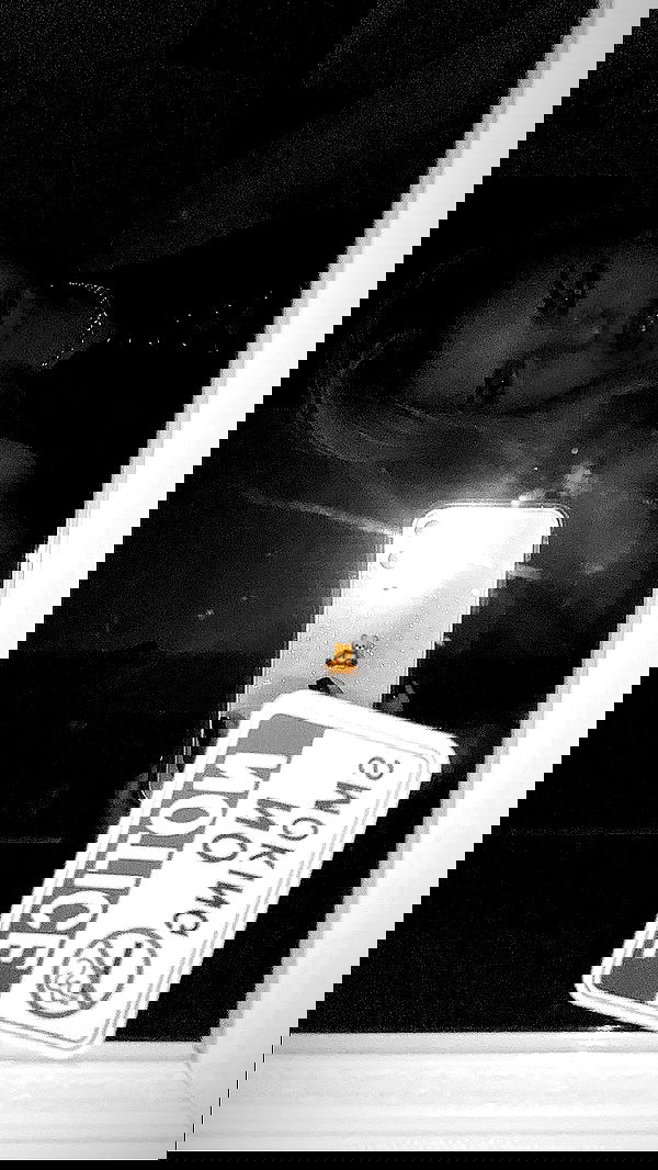 mishel_llll mishel_llll archive image