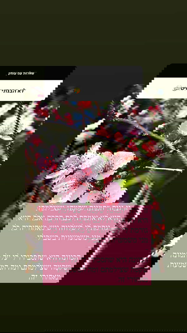 moonliliaght moonliliaght archive image