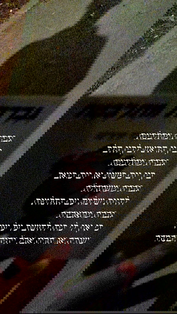 moonliliaght moonliliaght archive image