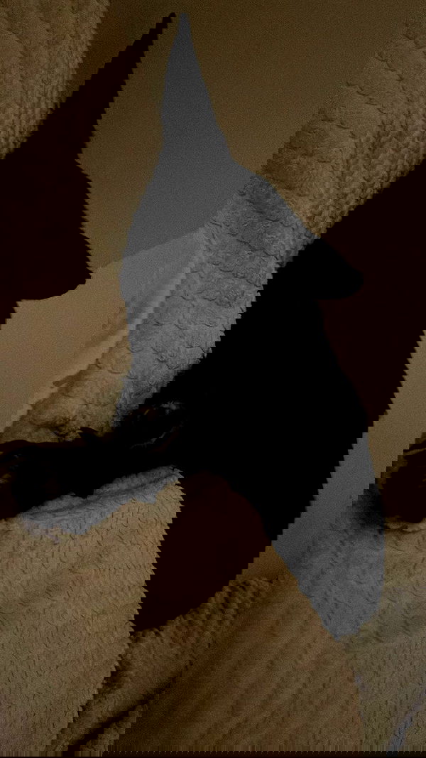 moonliliaght moonliliaght archive image