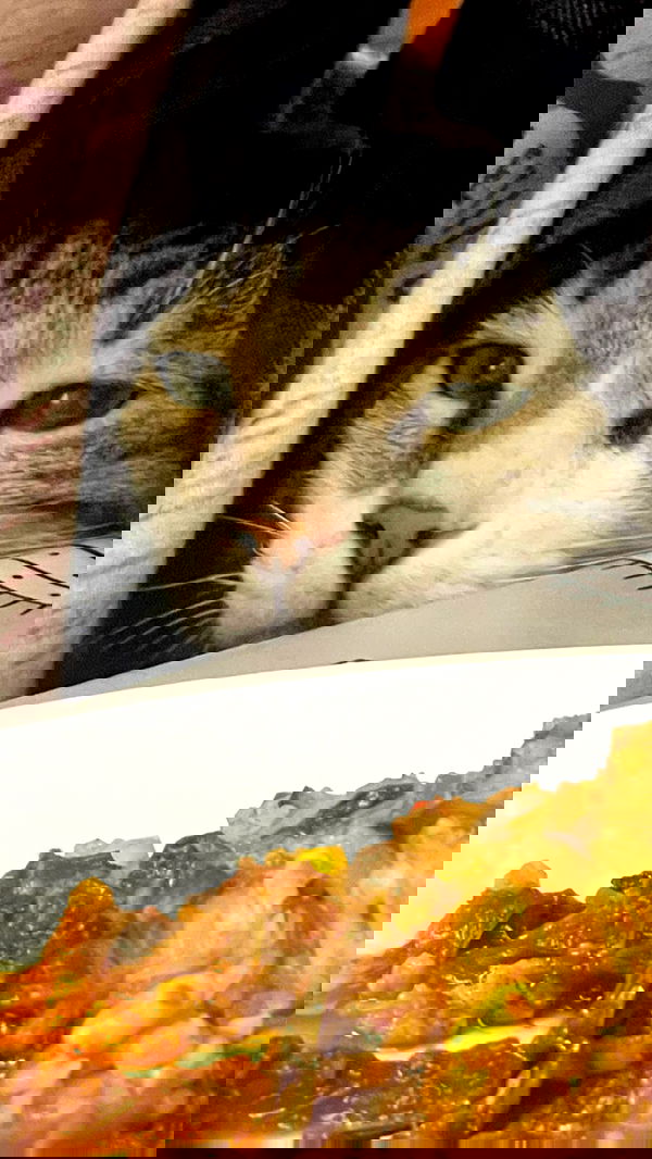 moonliliaght moonliliaght archive image