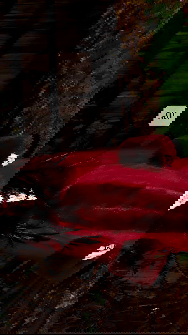 moonliliaght moonliliaght archive image