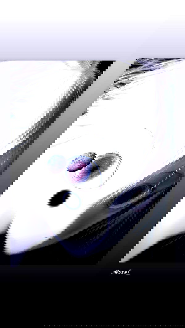 moonliliaght moonliliaght archive image