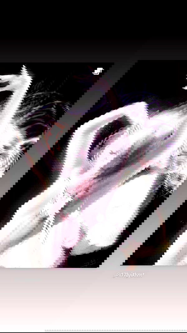 moonliliaght moonliliaght archive image