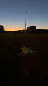 natahalieeee Altpins Profile Picture