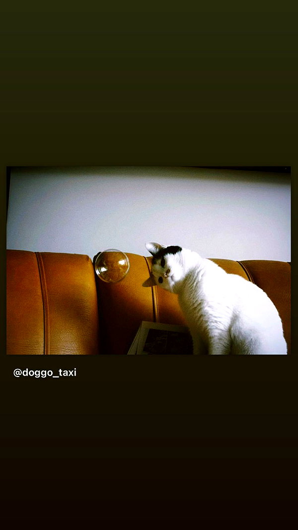natahalieeee instagram image archive image
