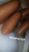 natali.shalev Altpins Profile Picture